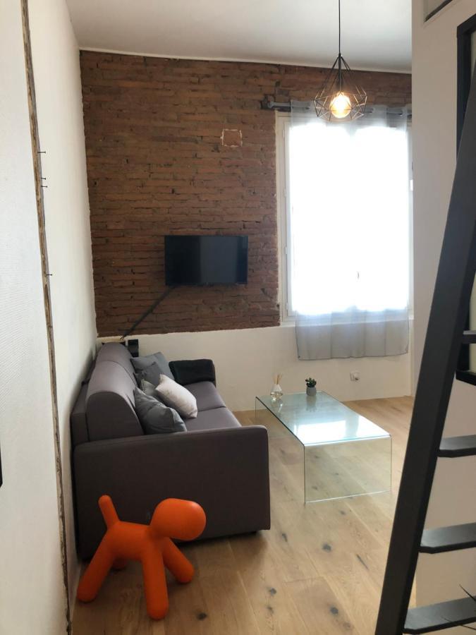 Charmant Studio De 20M2 En Hypercentre De Toulouse Bagian luar foto